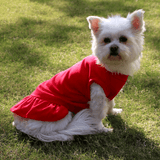 Mini Saia para PETS - O Chico Tem